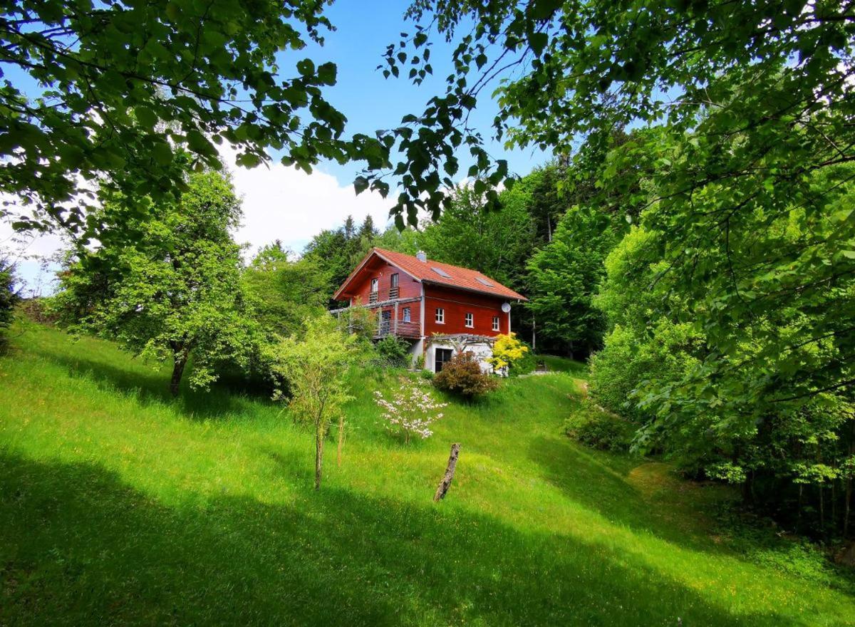 Ferienwohnung Am Woid - Herrliche Alleinlage - Vegane Einrichtung Waldkirchen Buitenkant foto